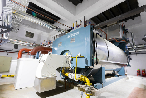 WNS����ʽȼ���ˮ偠t��ů